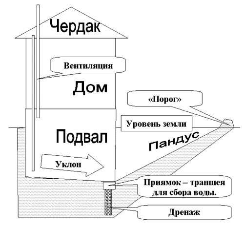 Подвал в общую площадь дома