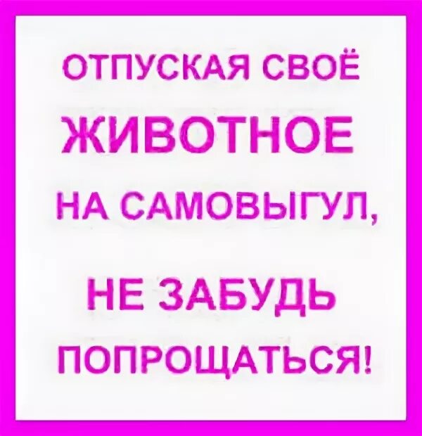 Отпуская животное на самовыгул. Отпуская на самовыгул не забудь попрощаться. Отпуская свое животное на самовыгул не забудь попрощаться. Забыла сказать пока