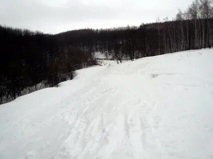 Горки курск