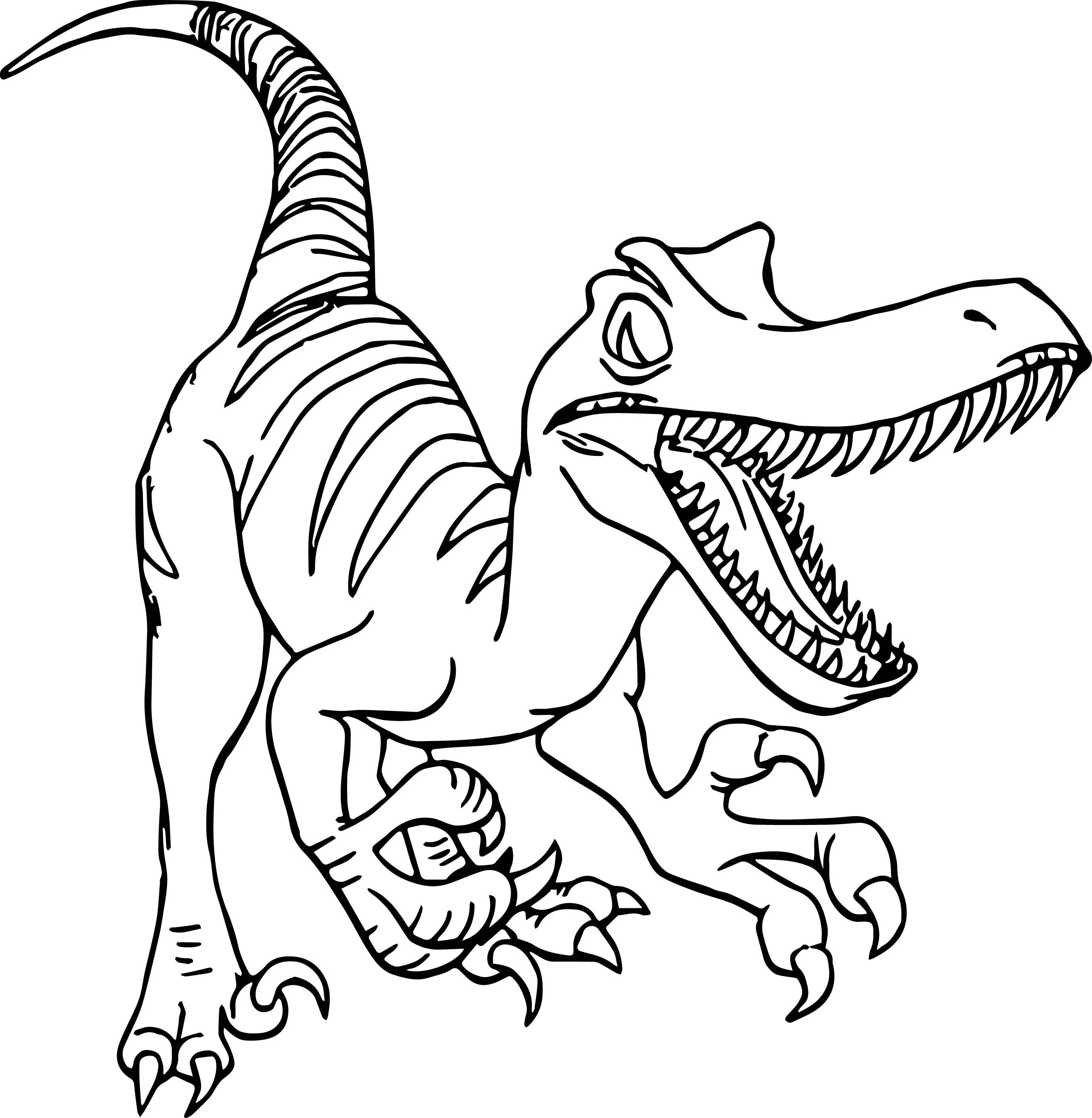Раскраска динозавр формат а4. Раскраска Велоцираптор Блю. Раскраски динозавры Велоцираптор. Раскраска динозавр Раптор. Динозавры раскраски для детей для печати.