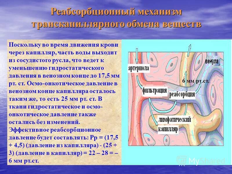 фильтрацию на артериальном конце капилляра преимущественно обеспечивает. гидростатическое и онкотическое давление в сосудах. онкотическое давление в капиллярах. фильтрацию на артериальном конце капилляра преимущественно обеспечивает. гидростатическое давление в капиллярах.