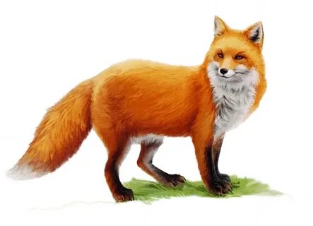 Санкт-Петербургтегі жыныстық әйел