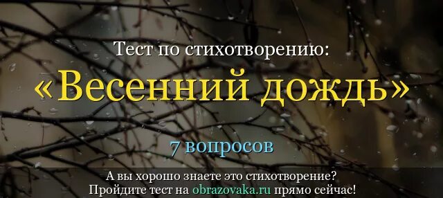 Дождик блок. Текст стихотворения весенний дождь. Стихотворение весенний дождь 5 класс.