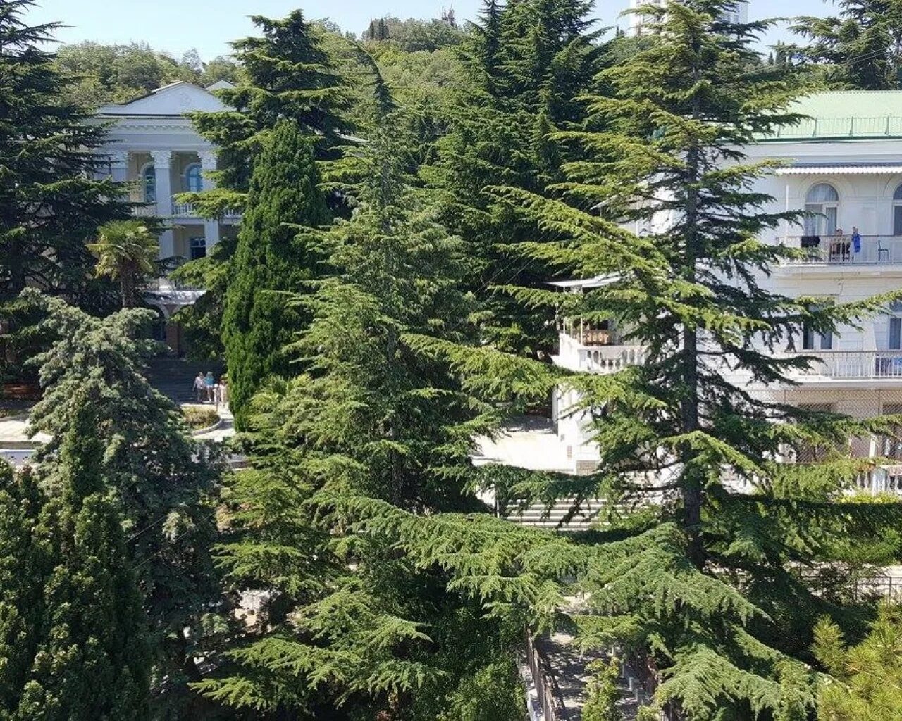 Пансионат в алуште сайт. Алушта Профессорский уголок Укоопспилка. Санаторий Профессорский уголок Алушта. Алушта дом отдыха Укоопспилка. Укоопспилка-Профессорский уголок пансионат в Алуште.