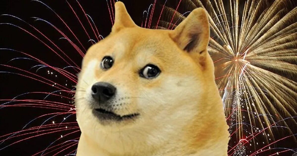 Догги. Сиба ину кабосу. Мемы с собаками. Сиба-ину догги. Сиба-ину doge.