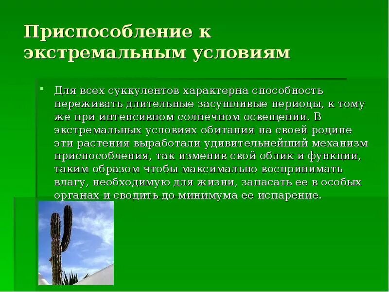 Какие приспособления к изменениям температуры окружающей среды. Кактус приспособление к среде обитания. Приспособление к условиям. Приспособления растений к условиям среды. Приспособление к условиям обитания.