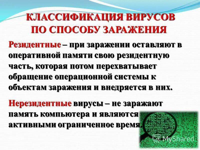 вирусы по способу заражения