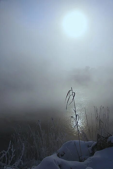 холодное солнце краткое содержание