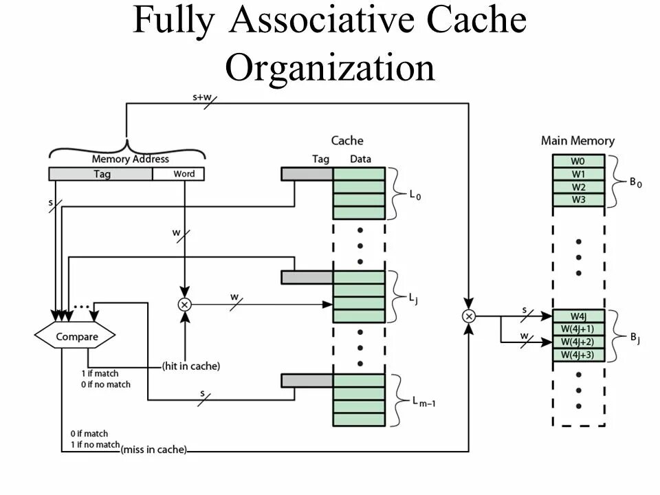 Main address. Organization of Computer Memory. Cache Memory. Associative field примеры. Organization of cache Memory with direct Mapping.