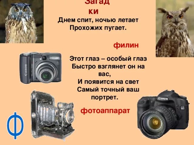 Что днем болтается а ночью втыкается ответ. Что днем болтается а ночью втыкается ответ
