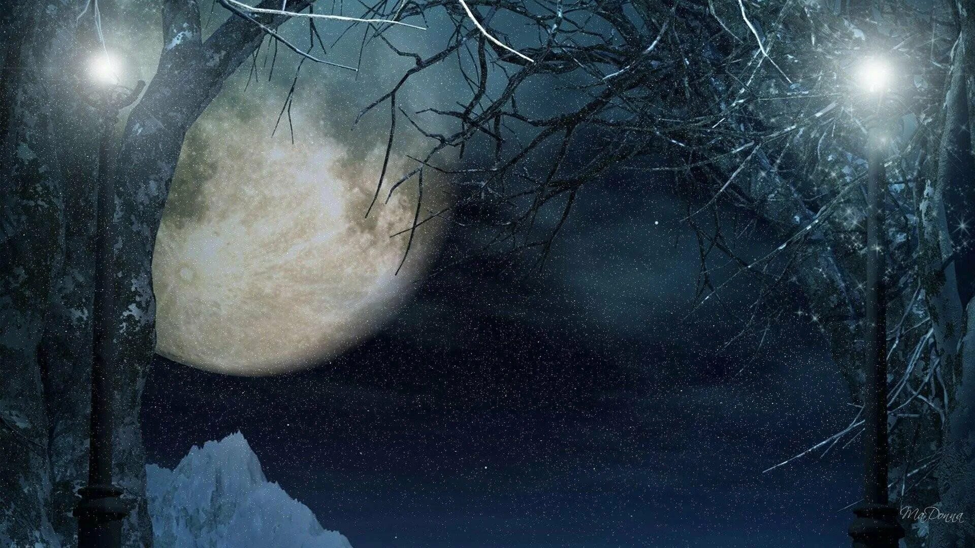 Чудесные лунные мартовские ночи впр 5 класс. Луна снег. Зима ночь. Зима ночь Луна. Ночь снег Луна.