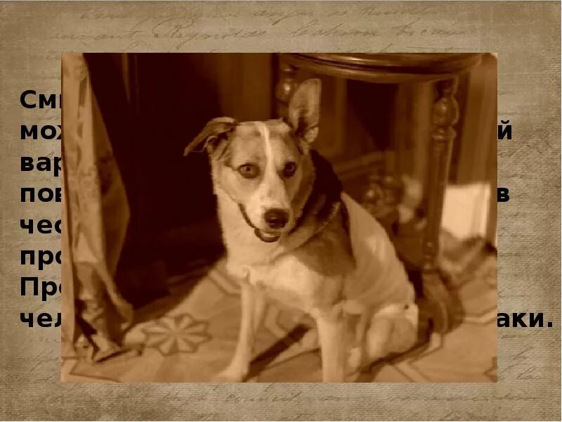 Характеристика героев собачье сердце шариков. Образ шарика в собачьем сердце. Преображенский и шариков мемы. Собачье сердце про шарика. Собачье сердце про шарика.