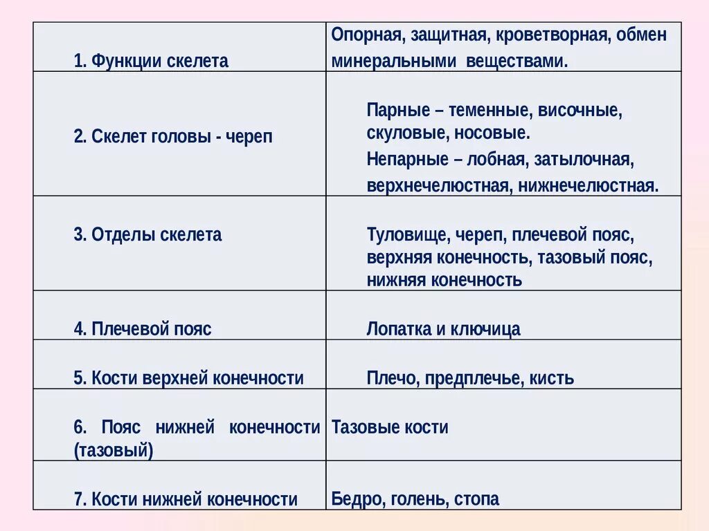 Отдел кости функции. Отделы скелета человека 8 класс биология. Таблица по биологии 8 класс отделы скелета. Отделы скелета человека таблица 8 класс биология. Таблица скелет человека биология 8 класс.