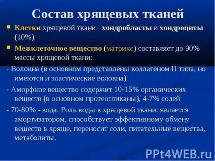 Межклеточное вещество хряща