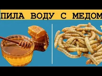 Пила воду с медом