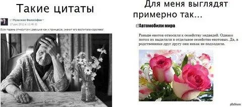 Фразы контакты