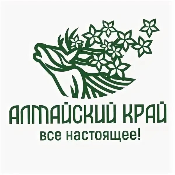 Настоящий логотип. Алтайский край все настоящее логотип. алтайский край все настоящее бренд. алтай солнечные поляны территория гостеприимства.