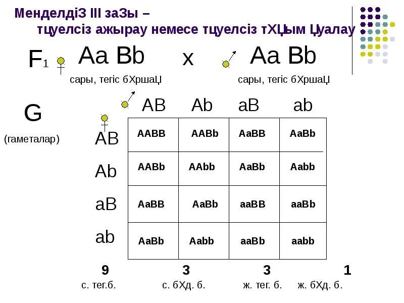 Третий закон Менделя таблица. Законы Менделя схема. Законы Менделя таблица. Моногибридті және дигибридті будандастыру презентация.