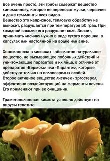 Почему лисички не едят