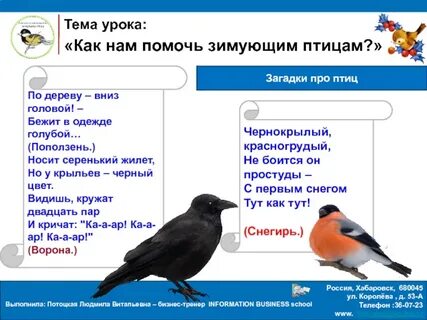 Загадки про птиц 4 5 лет