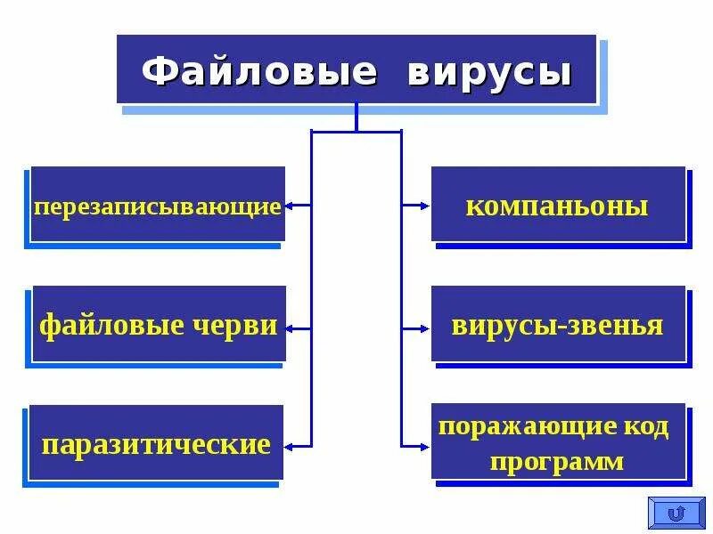Файловые вирусы описание и принцип работы. Файловые вирусы. файловые вирусы поражают. файловые вирусы картинки. файловые вирусы презентация.