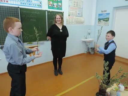 Школа сил