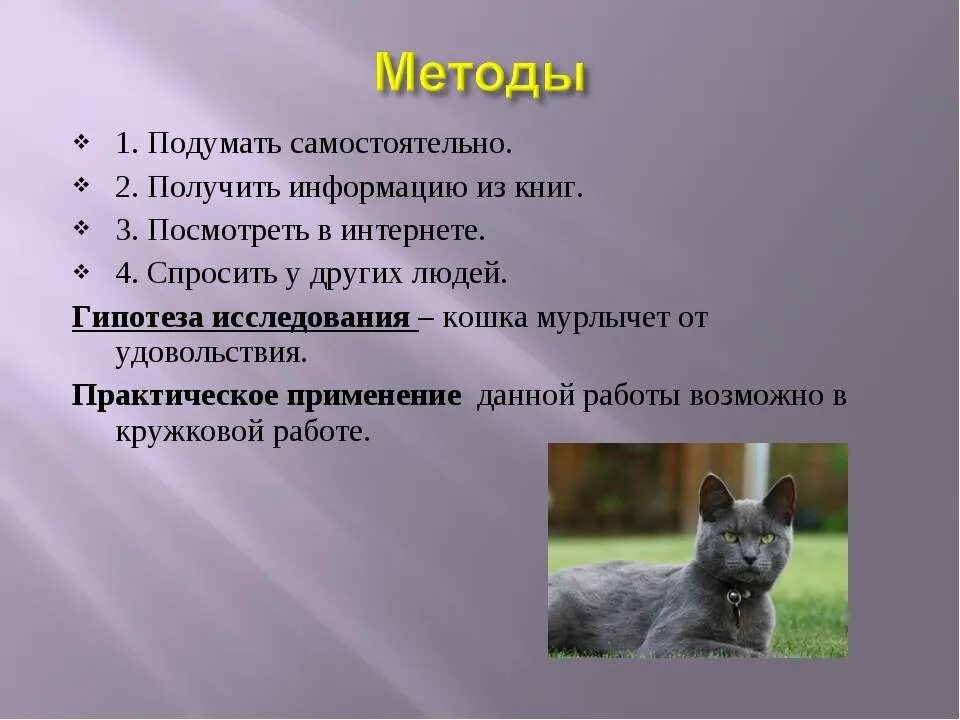 Кошка мурчит как трактор. Почему кот мурлыкает. исследовательская работа почему кошка мурлычет. как коты мурлыкают. почему котики мурлычат.
