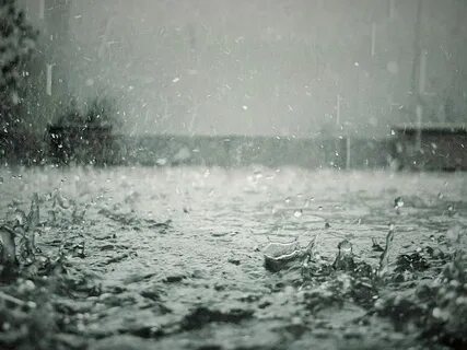 Shower weather