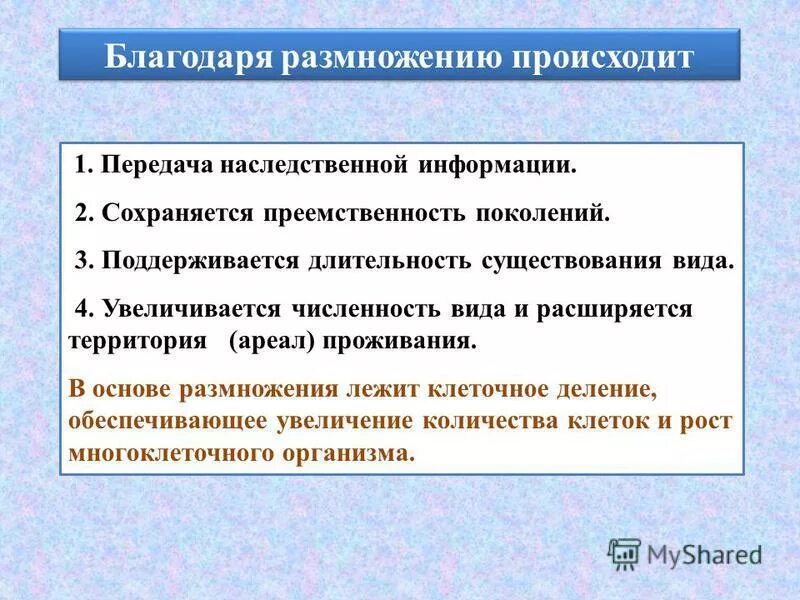 Жизнь на земле происходит благодаря размножению организмов