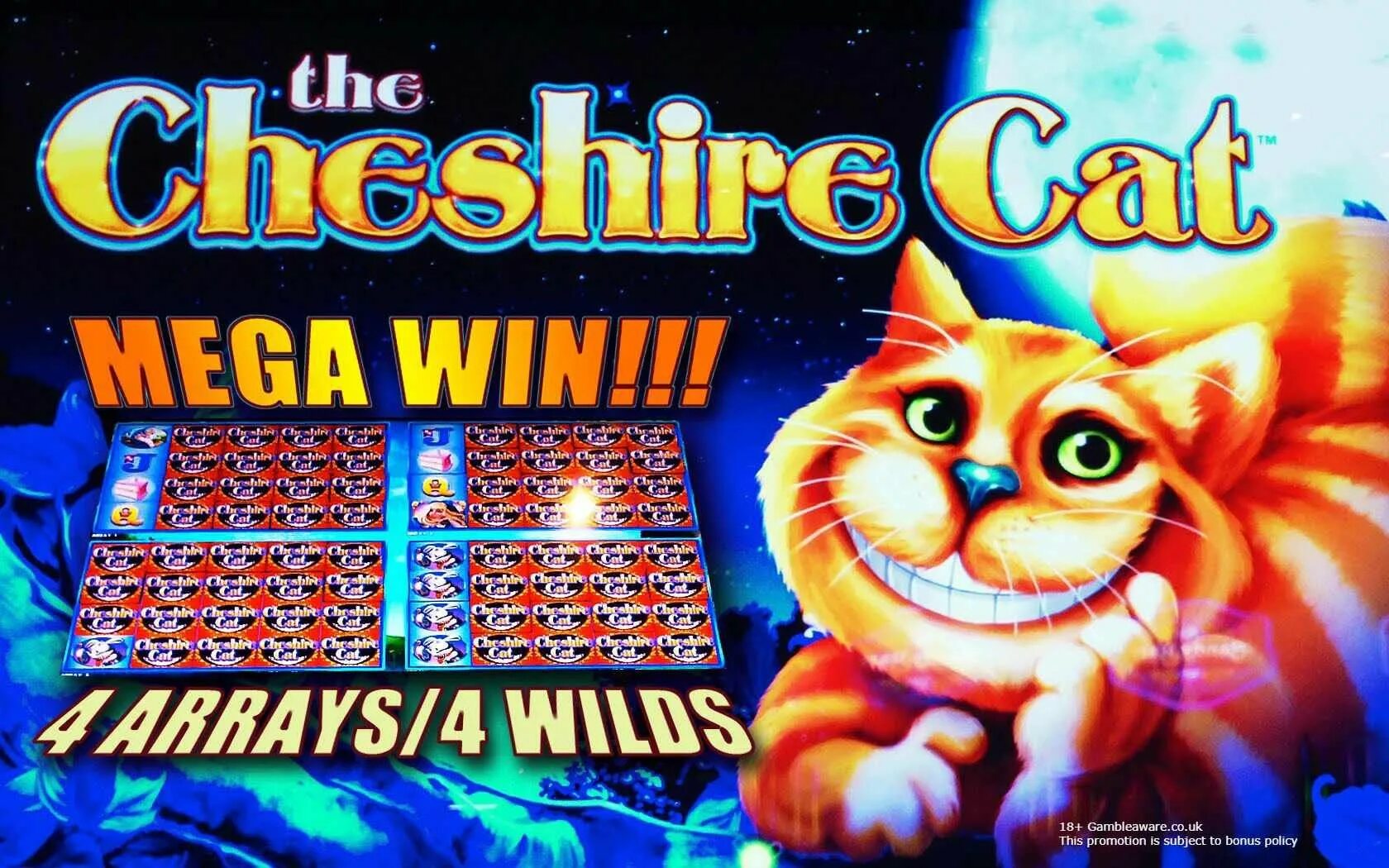 Cat casino играть кэтказиногоум фан. Котик в казино. Кошачье казино. Кот казино слоты. Слот с кошками в казино.