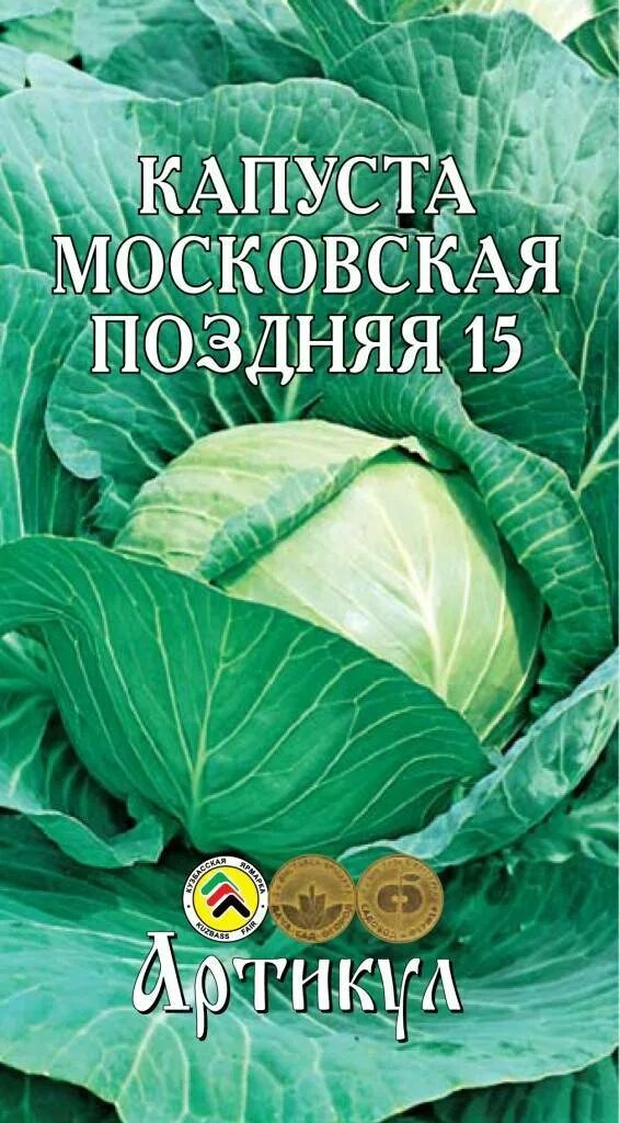 Капуста московская описание сорта отзывы. Капуста Московская. Московская поздняя. Капуста Московская поздняя описание. Сорт капусты Московская поздняя характеристика.