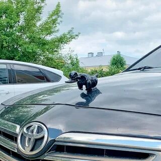 Утка на капот автомобиля