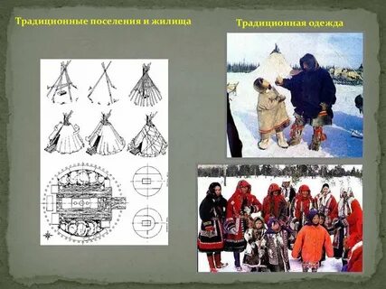 Языковая семья ненцев