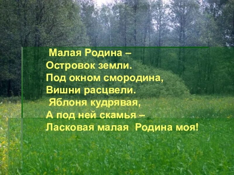 Малая Родина островок земли под окном смородина. Стихи о малой родине. Стих моя малая Родина. Стихи о мвлой родинеродине. Родина из чего же вырастает