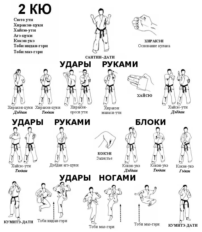 Кате 10 кю