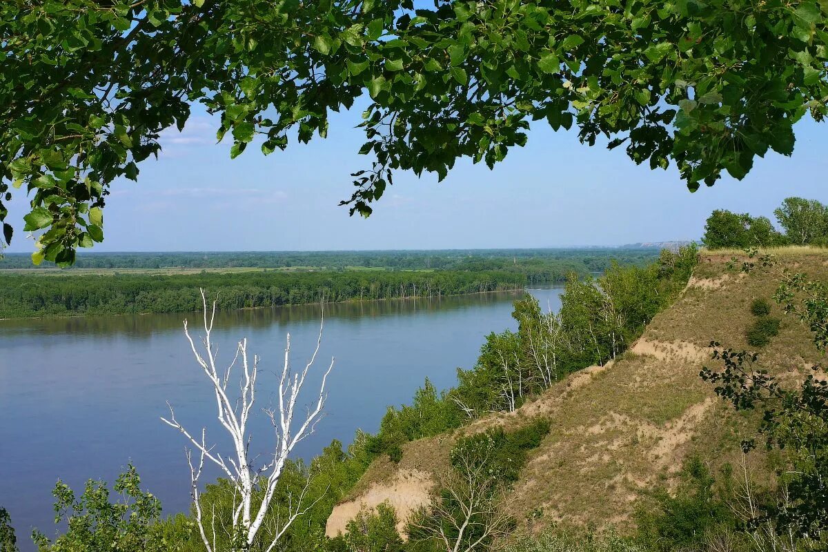 Река Обь в Шелаболихе. Шелаболихинский район Алтайский край. Река Обь в Алтайском крае. Шелаболихинский Киприно. Вода в оби в шелаболихе