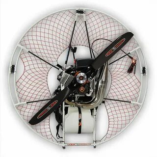 Fly production