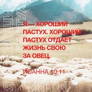 Итак опять