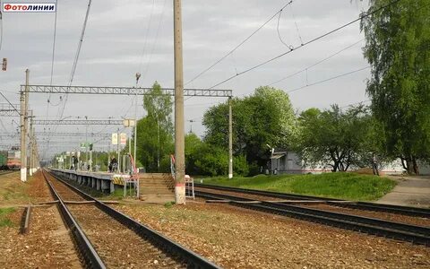 Новопетровское шаховская