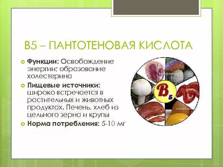 В5 для чего нужен организму. Витамин в3 (пантотеновая кислота ) продукты. Витамин б5 пантотеновая кислота. Витамин в5 пантотеновая кислота роль в организме. Витамин b5 функции.