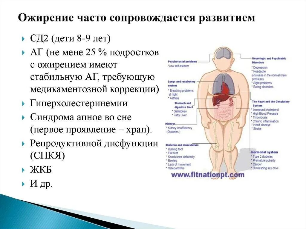Ожирение и лишний вес у детей: таблица по возрасту с фото, клинические рекоменда