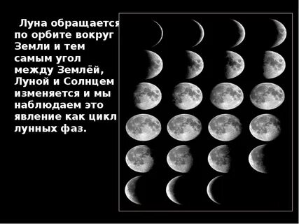 Фазы луны вокруг земли