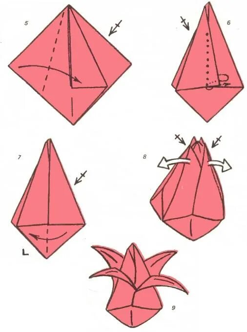 Как сделать оригами тюльпан. Оригами тюльпан из бумаги. Как делать тюльпаны из бумаги оригами. Сложить тюльпан из бумаги пошагово.