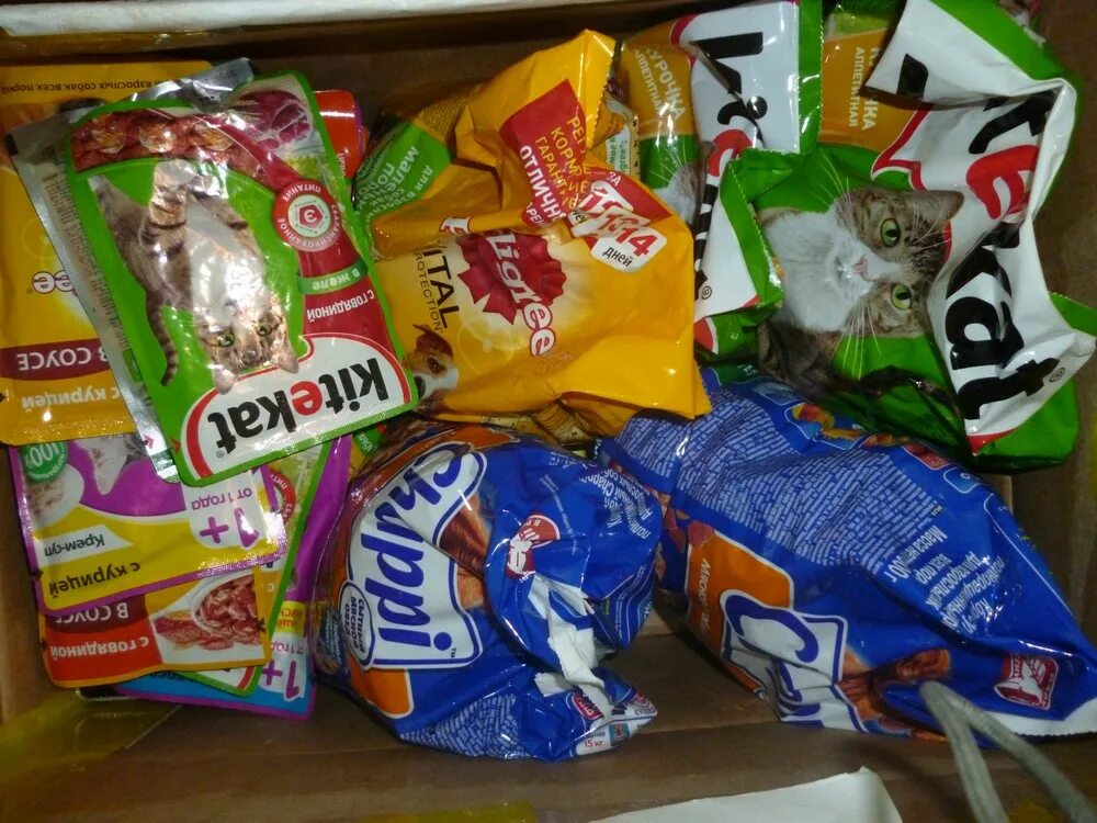 Корма для животных приют. Корм для приюта животных. Корма для животных приют. Корма для приюта. Корма для бездомных животных.