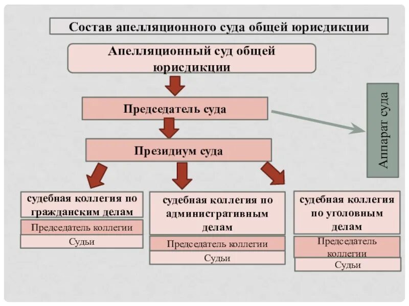 Организация апелляционных судов