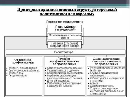 Структура и организация работы поликлиники