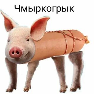 Гавкошмык