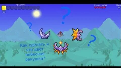 Небесная ракушка террария