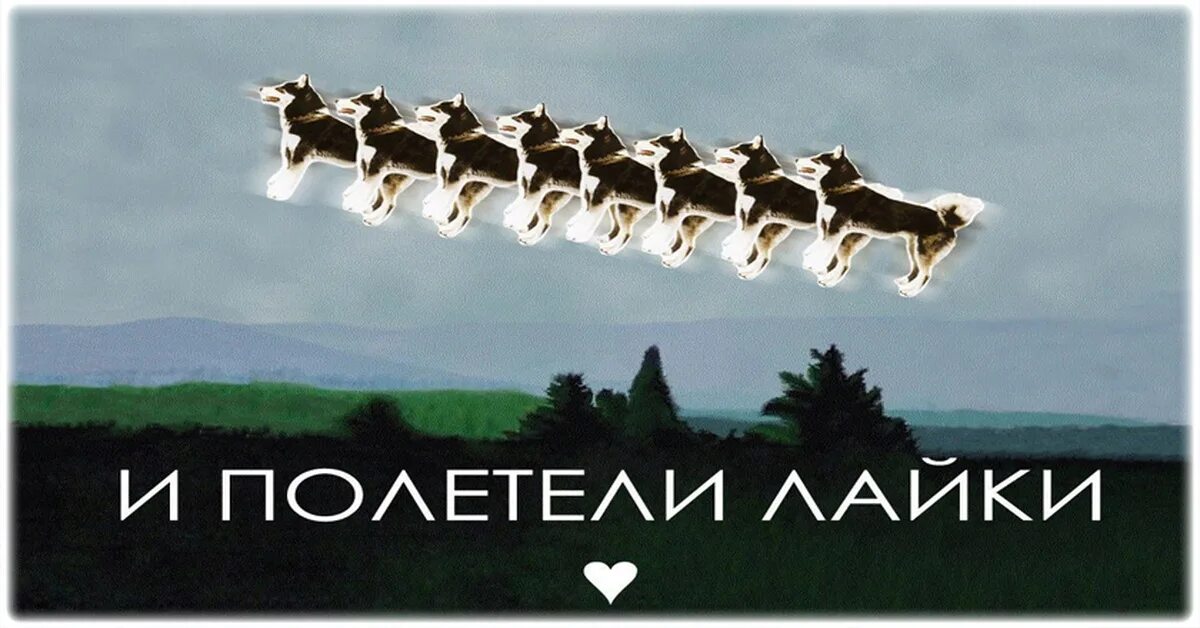 Полетели полетели дни недели. И полетели лайки. лайки юмор. изображение лайка. и полетели лайки картинка.