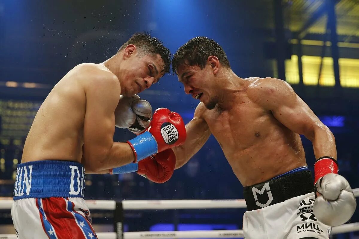 O zbek tigers. Муроджон ахмадалиев бокс. Uzbek taygers. Команда uzbek tigers. Uz tiger.